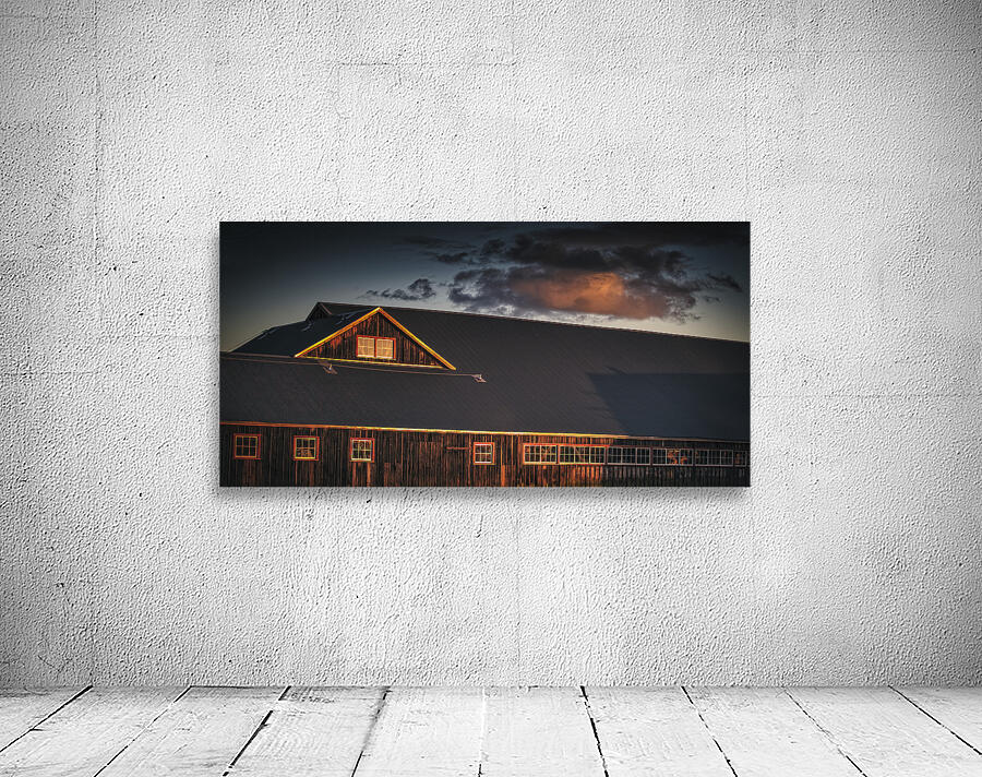 FS260308DW3 WINDOWS Wall Preview