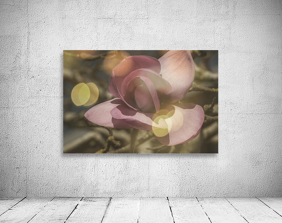 FS260314 SPRING FLOWER Wall Preview