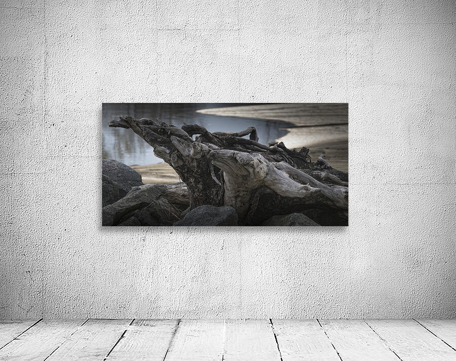 FS260410DW2 DRIFTWOOD Wall Preview