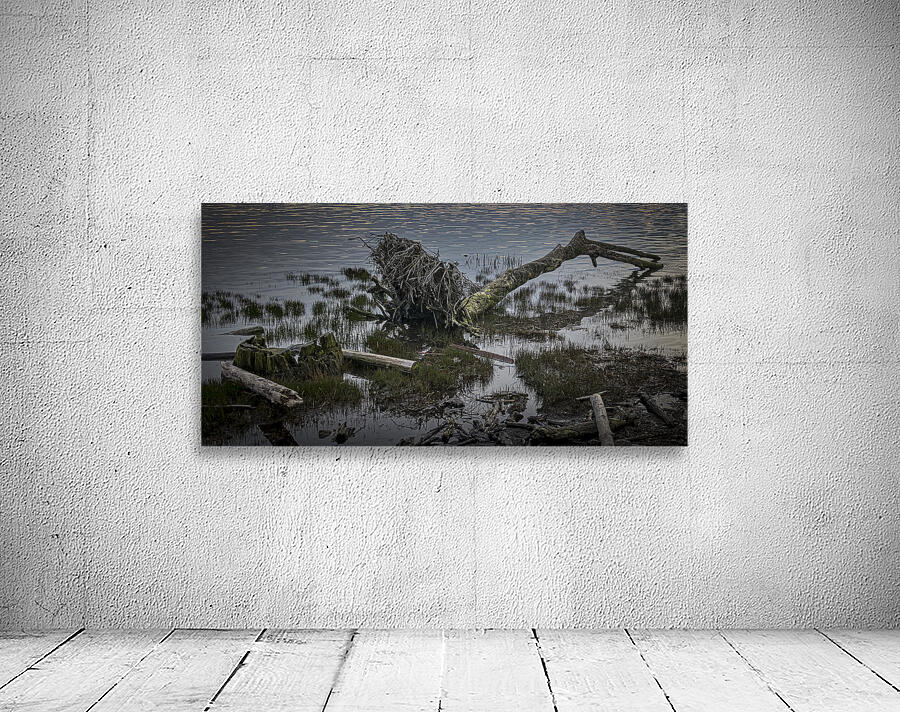FS260331DW DRIFTWOOD Wall Preview