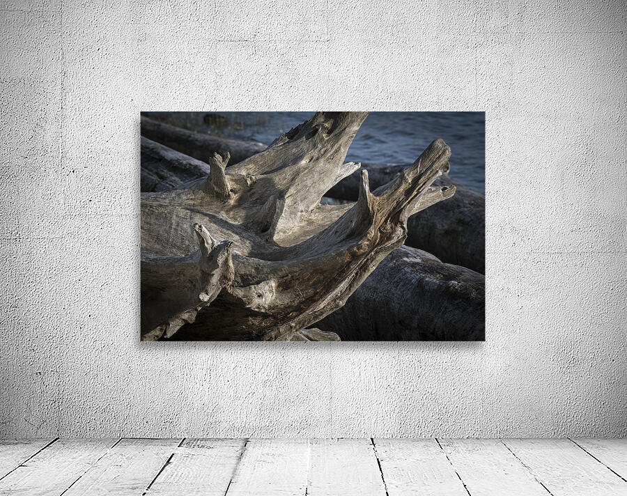 FS260415 00 DRIFTWOOD Wall Preview