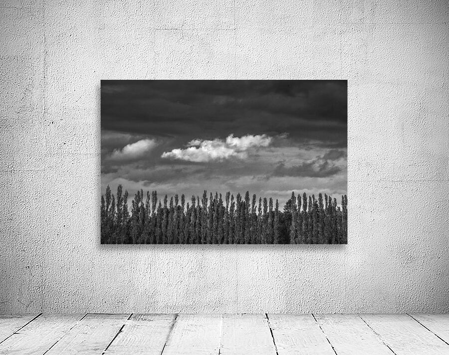 FS260515BW CLOUDSCAPE Wall Preview