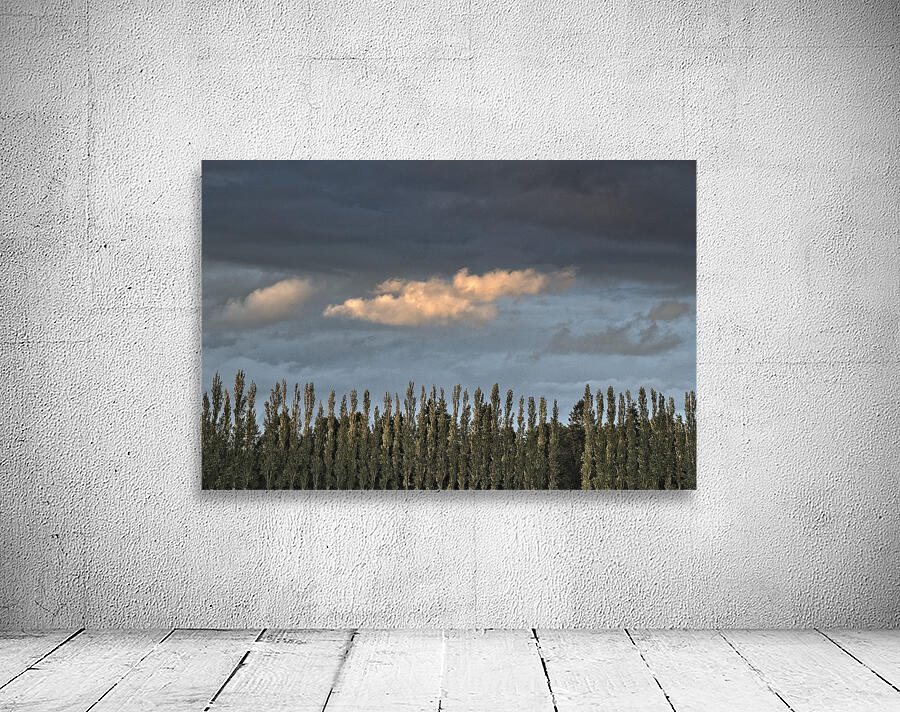 FS260515 02 CLOUDSCAPE Wall Preview