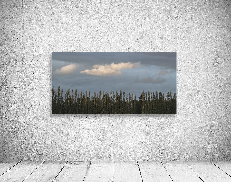 FS260515DW CLOUDSCAPE Wall Preview