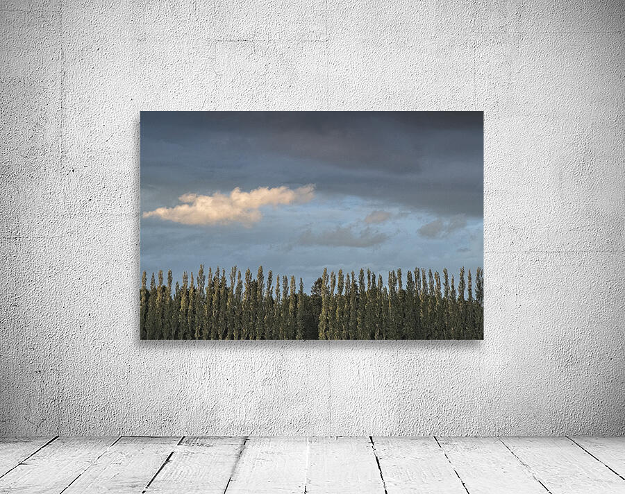FS260515 03 CLOUDSCAPE Wall Preview