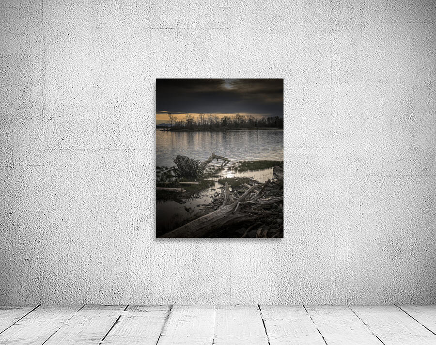 FS260331A DRIFTWOOD Wall Preview