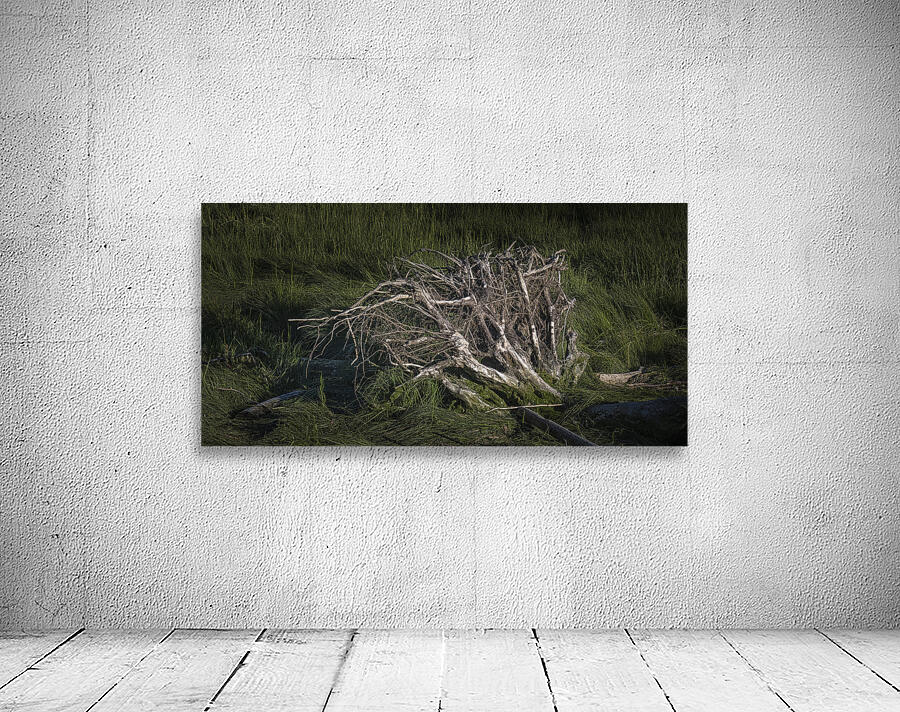 FS260610 ROOTS Wall Preview