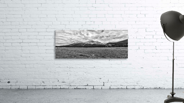 FS121007 BW Wall Preview