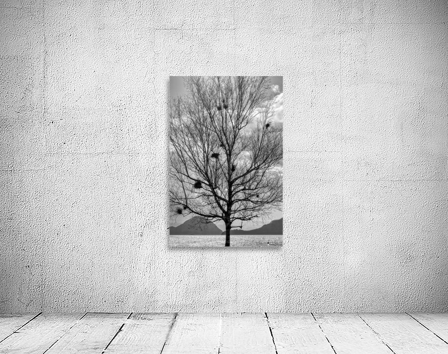 FS130323BW Wall Preview
