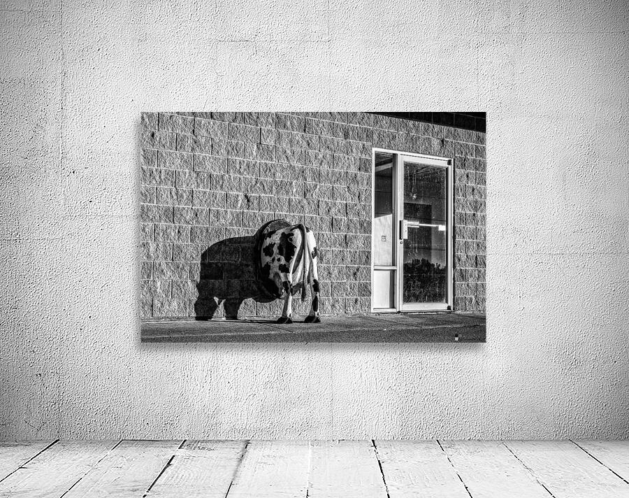 FS190113BW Wall Preview