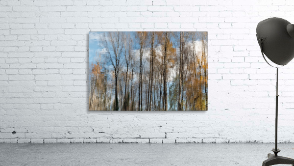 Autumn2020 Wall Preview