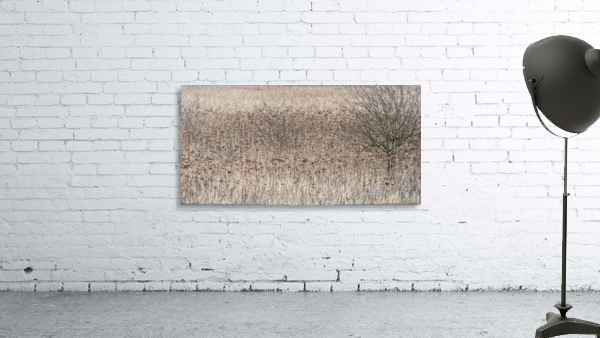 FS210227 0 Wall Preview