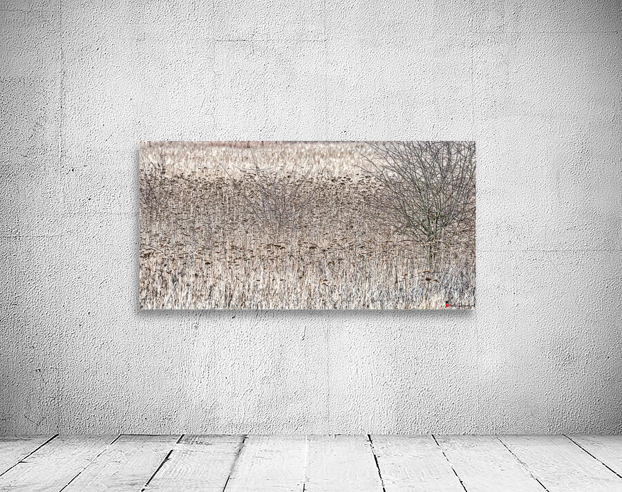 FS210227 8 Wall Preview