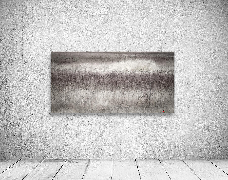 FS210227DW3 Wall Preview