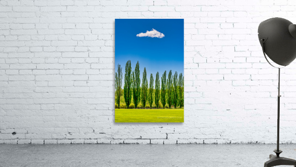 SUMMER LANDSCAPE Wall Preview