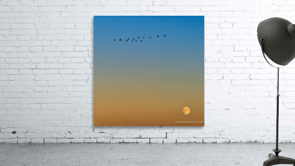 Moon Rise Wall Preview