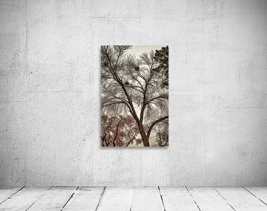 Fall Foliage Wall Preview