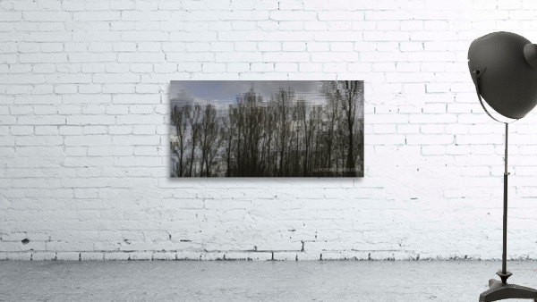 FS220329 06 Wall Preview