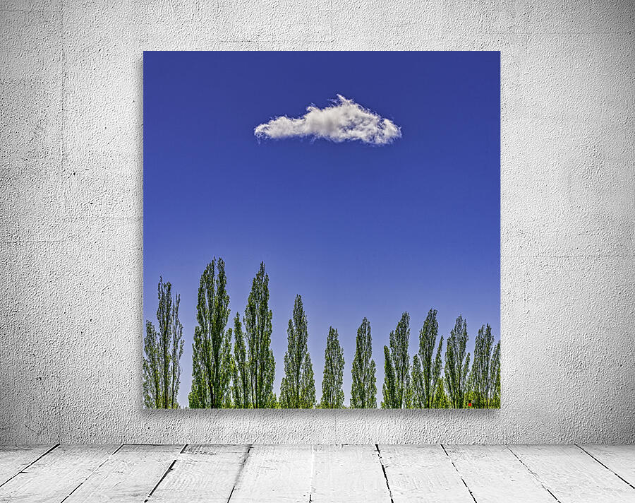 SUMMER SKY  Wall Preview