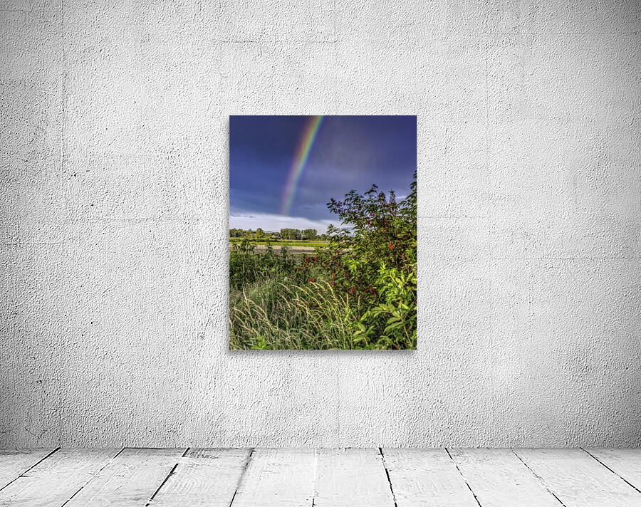 RAINBOW AFTER RAIN Wall Preview