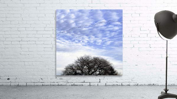 Snow Geese Wall Preview