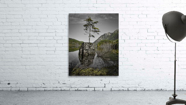 NEW LIFE Wall Preview