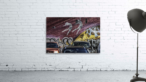 FS140204 MURAL Wall Preview