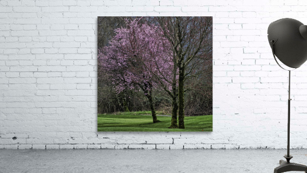 CHERRY BLOSSOMS Wall Preview