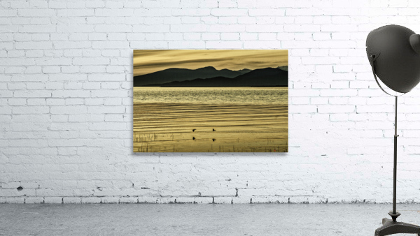 TERRA ROVA SUNSET Wall Preview