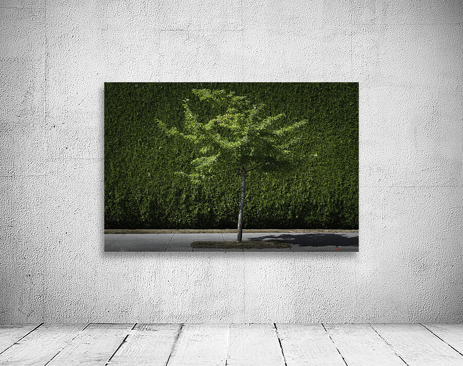 GREEN CITY Wall Preview