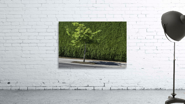 FS130729 Wall Preview