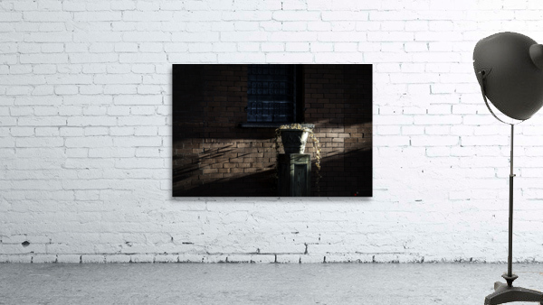 LIGHT AND SHADOWS Wall Preview