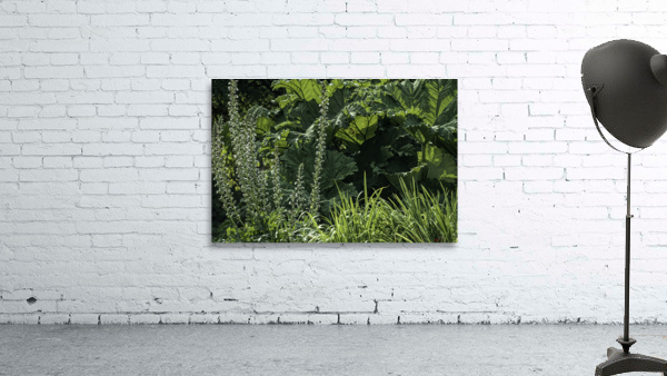 GREEN LIFE Wall Preview