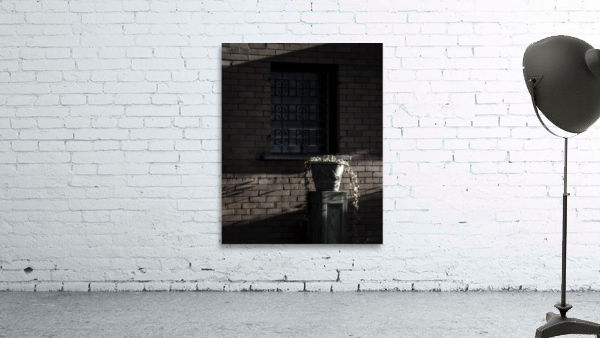 LIGHT AND SHADOWS Wall Preview
