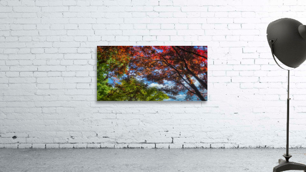 Foliage Wall Preview