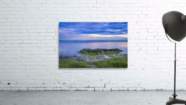 IONA BEACH Wall Preview