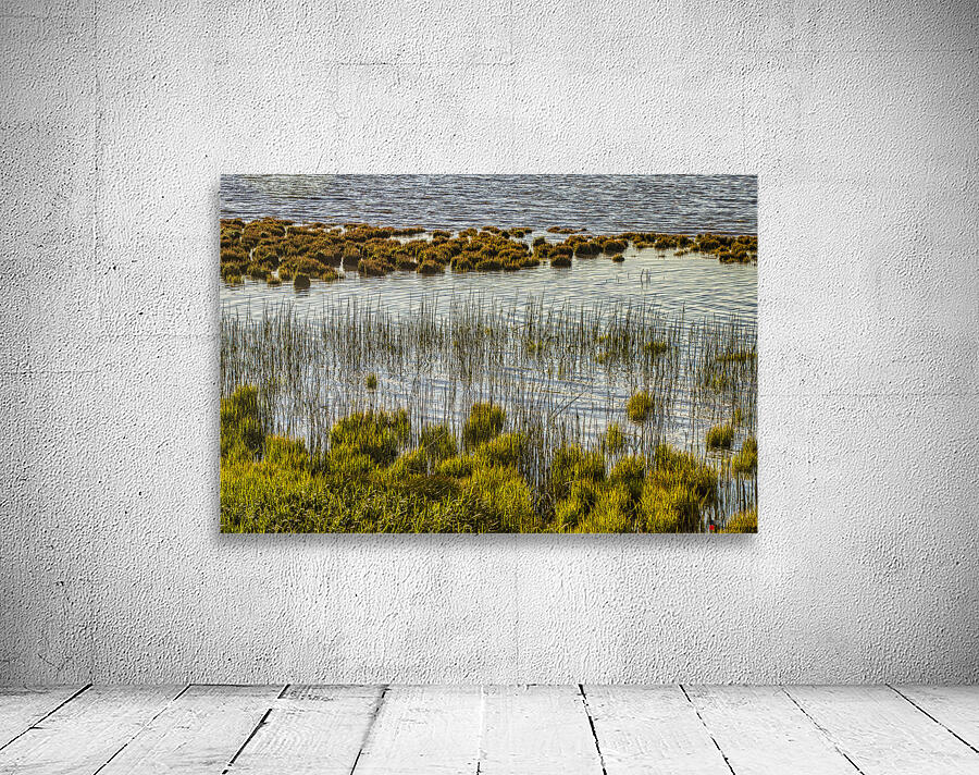 Marsh at Terra Nova Wall Preview