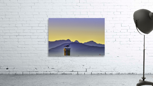 BORN FREE Wall Preview