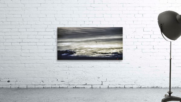 THE GULL 海鷗 Wall Preview