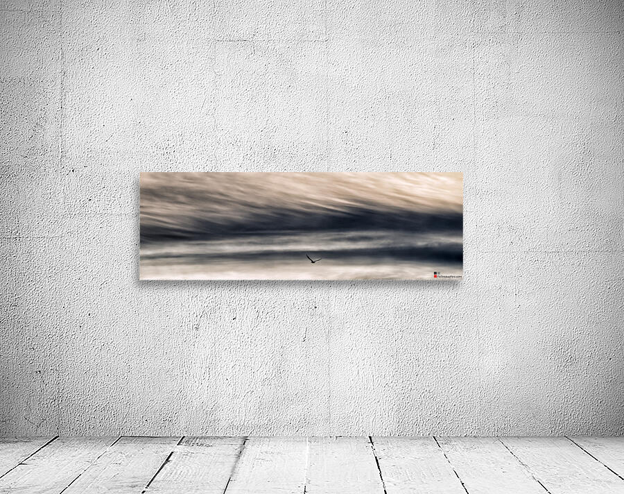 THE GULL  3 Wall Preview