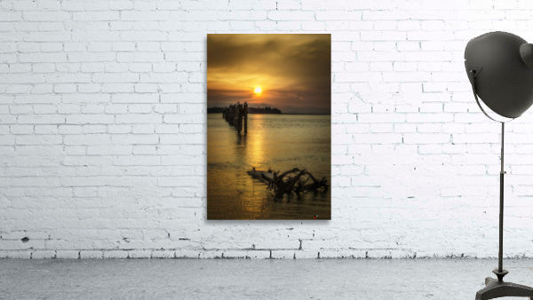 DRIFTWOOD 2022 Wall Preview
