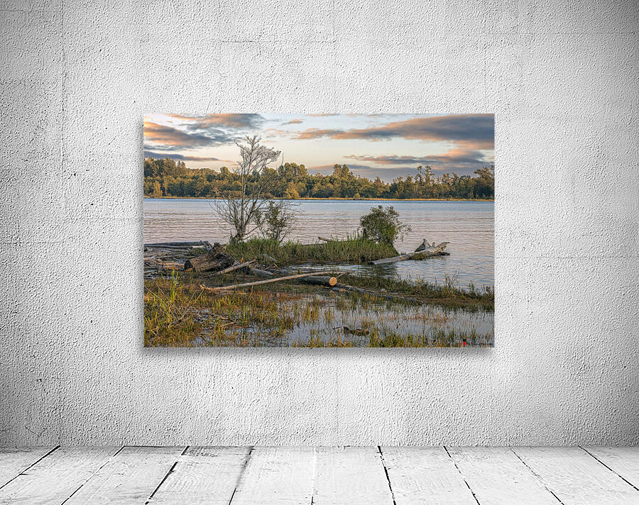 Landscape on Fraser River Wall Preview