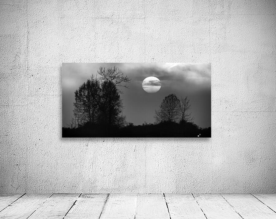 FS221019BW Wall Preview