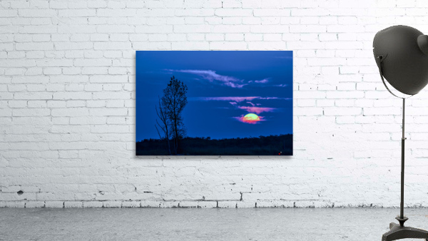 SUNSET WITH SILHOETTE TREES Wall Preview