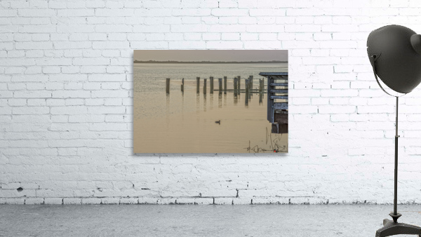 FS221019 01 Wall Preview