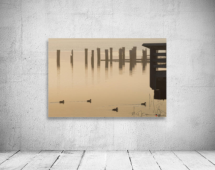 FOUR LITTLE DUCKS Wall Preview