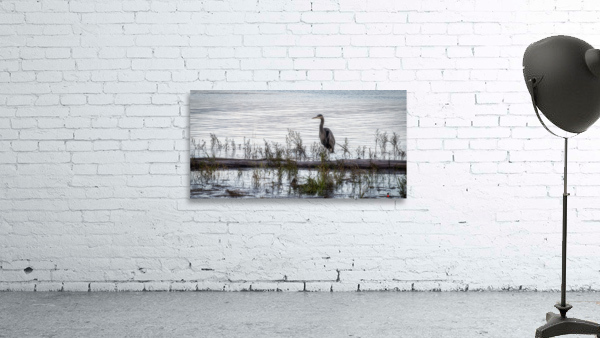 HERON 5 Wall Preview