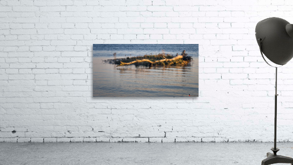 DRIFTWOOD Wall Preview