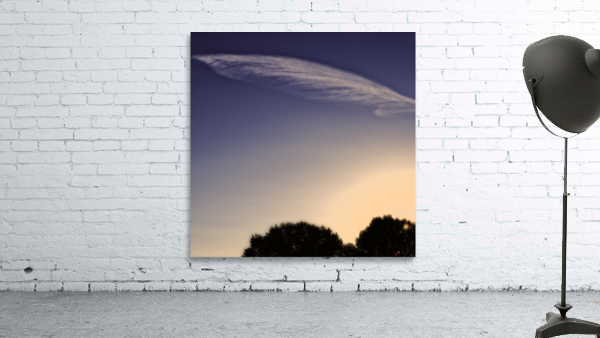 FEATHER CLOUDS Wall Preview