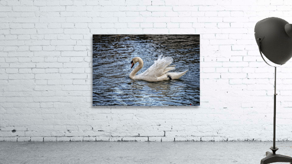 SWAN 2017 Wall Preview